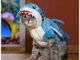 The Best Cat Shark Costume