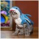 The Best Cat Shark Costume 132 The Best Cat Shark Costume
