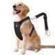 The Best Dog Car Safety Harness 131 The Best Dog Car Safety Harness