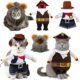 The Best Cat Halloween Costumes 195 The Best Cat Halloween Costumes