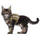 The Best Cat Tactical Vest