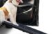 The Alpha Paw Dog Car Ramp 5 The Alpha Paw Dog Car Ramp