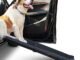 The Alpha Paw Dog Car Ramp