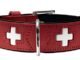 The Swiss Dog Collar