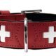 The Swiss Dog Collar