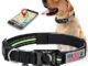 The Best Airtag Dog Collar 17 The Best Airtag Dog Collar