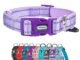 The Lilac Dog Collar 30 The Lilac Dog Collar