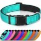 The Basic Dog Collar 7 The Basic Dog Collar