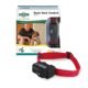 The Basic Dog Training Collar