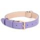 Purple Leather Dog Collar 62 Purple Leather Dog Collar