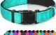 Teal Dog Collar 5 Teal Dog Collar