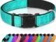 Teal Dog Collar 44 Teal Dog Collar