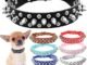 The Spiked Dog Collar 42 The Spiked Dog Collar