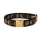 The Star Dog Collar