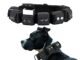 The Best Weighted Dog Collar For An Active Pet