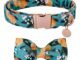 The Peach Dog Collar 28 The Peach Dog Collar