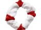 The Jingle Bell Dog Collar 11 The Jingle Bell Dog Collar