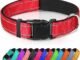 Quick Release Collar For Dogs 9 Quick Release Collar For Dogs