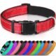 Quick Release Collar For Dogs 26 Quick Release Collar For Dogs