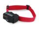 Does the Petsafe Basic Bark Control Collar Shock the Dog 64 Does the Petsafe Basic Bark Control Collar Shock the Dog