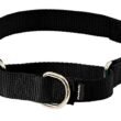 Best Martingale Dog Collar With Buckle