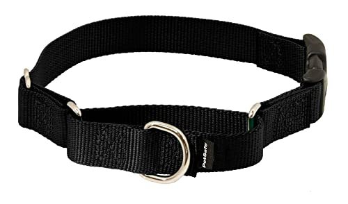 Best Martingale Dog Collar With Buckle