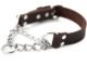 The Leather Martingale Dog Collar