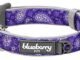 Paisley Dog Collar