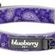 Paisley Dog Collar