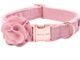 Rose Gold Dog Collar