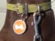 How to Attach Dog Tag to Collar 94 How to Attach Dog Tag to Collar