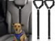 The Best Dog Vehicle Safety Harness 50 The Best Dog Vehicle Safety Harness