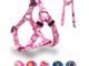 Dog Halter Harness