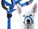The Best Dog Head Halters
