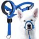 The Best Dog Head Halters
