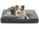 The Best Dog Pillow For Large Dogs 31 The Best Dog Pillow For Large Dogs
