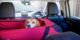 Drive Safely With Your Pup: The Importance of Dog Vehicle Harnesses for Road Trips