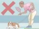 How to Train Dog to Heel on Leash