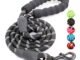 The Best Leash For Dogs That Pull