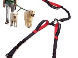 a Double Dog Leash