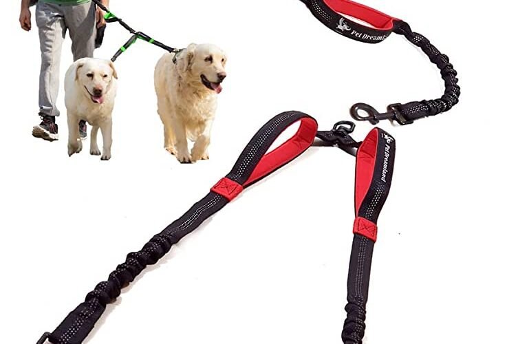 a Double Dog Leash