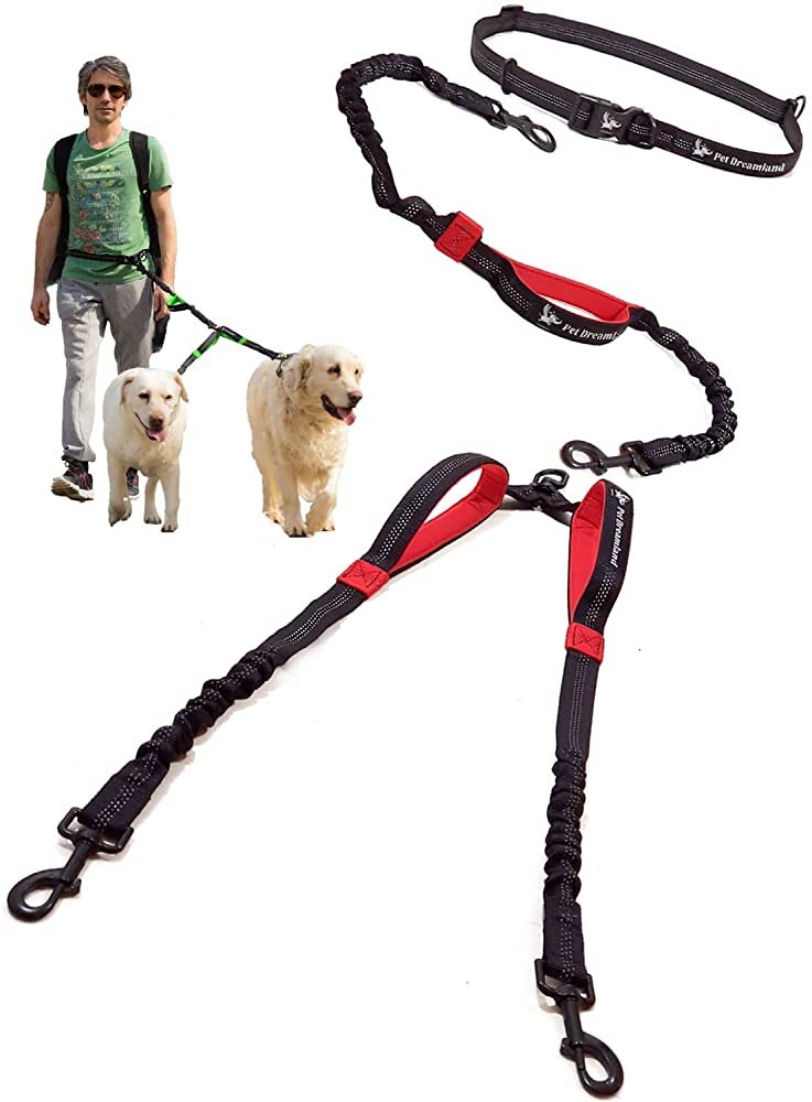 a Double Dog Leash