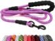 The Best Dog Leash For Hiking