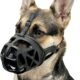 Muzzles for Reactive Dogs: Training Techniques for Safe And Effective Use 8 Muzzles for Reactive Dogs: Training Techniques for Safe And Effective Use