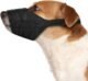 Muzzles for Small Dogs: Finding the Right Fit And Style 20 Muzzles for Small Dogs: Finding the Right Fit And Style