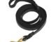 The Best Leather Dog Training Leash