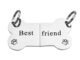 The Best Friend Dog Tags