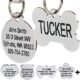 The Best Dog Id Tags