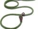 The Best Slip Leash For Dogs 42 The Best Slip Leash For Dogs