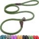 The Best Slip Leash For Dogs 27 The Best Slip Leash For Dogs